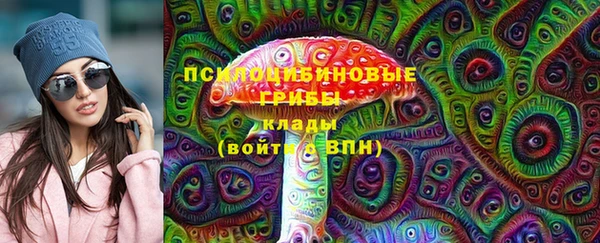 не бодяженный Алексин