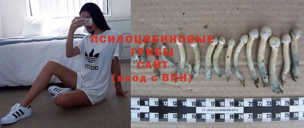 не бодяженный Алексин