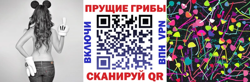 Купить где  Ивдель  Псилоцибиновые грибы Psilocybine cubensis 
